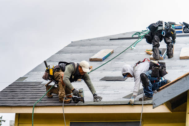 Professional Gutter Installation technician working in Tonica, IL